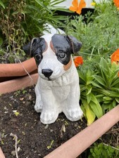  jack russell pup garden