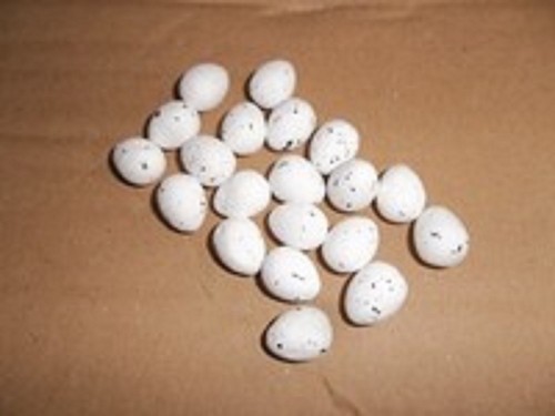 Foam dummy false eggs - ,