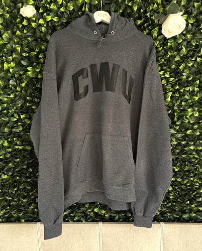 Champion men grey - men's, pullover