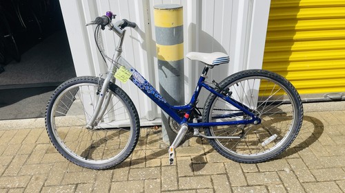 Raleigh bike wheels - 24,