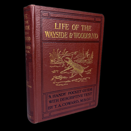 Life the wayside - of,