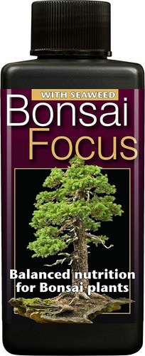 Bonsai focus liquid - focus,
