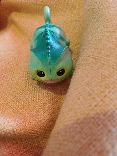Little live pets needees candy - little,