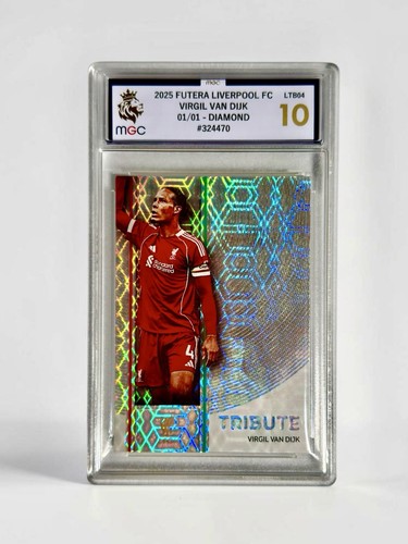 Virgil van dijk 2025 - virgil, |