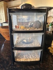 Mealworm Farm for Sale - 3x