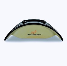 Soundcast iCast Wireless