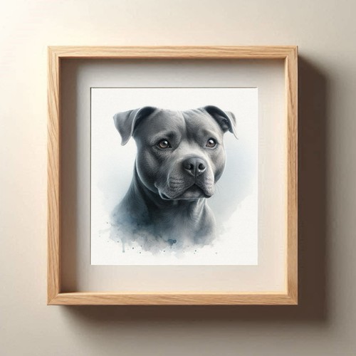 Staffordshire bull terrier - bull,
