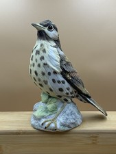Wedgewood Porcelain Song Bird Thrush Very Rare Collectable Figure