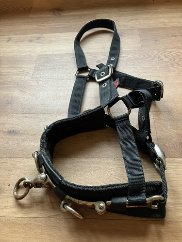 Full size eclipse webbing - full,