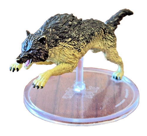 Dire wolf waterdeep - wolf, dragon