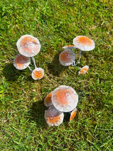 Set metal brown toadstool - 3,