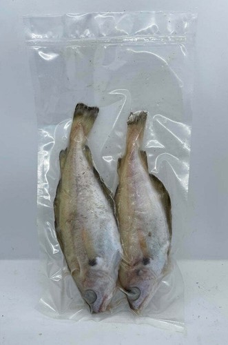 Pout packets sea pike - packets,