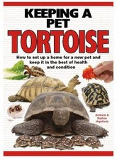 Keeping a Pet Tortoise by