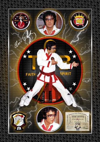 Elvis presley karate a4 - elvis,