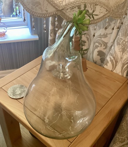 Large pacific spain - spain, 40cm