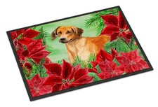 Rhodesian Ridgeback Poinsettas