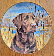 Labrador Dogs decorative