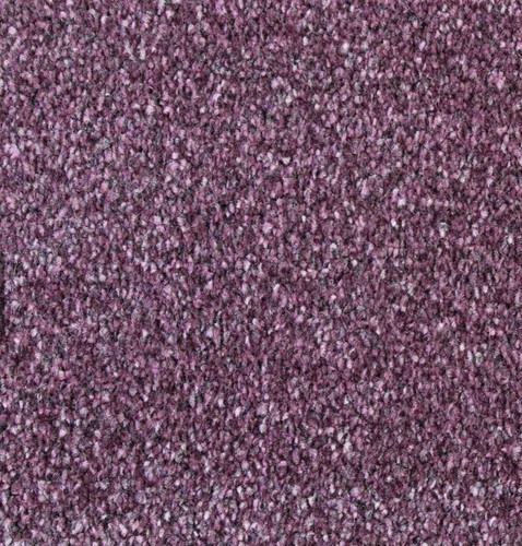 Luxury saxony purple - purple, carpet