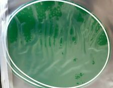 EVO VINTAGE MOTO CROSS NUMBER