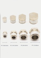 Hex Male Blanking Plug with BSPT and NPT Threads
