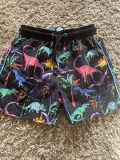 Boys Dinosaur Swim Shorts Age