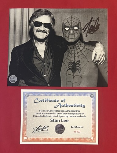 Stan lee spider - stan, 8"
