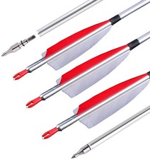 12X 30" Aluminum Arrow SP500