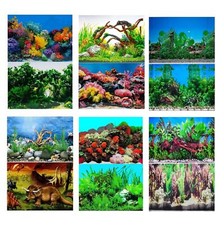 Aquarium Fish Tank Background