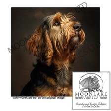 Otterhound Portrait  100%