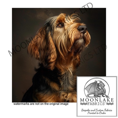 Otterhound portrait 100 - otterhound, 100%