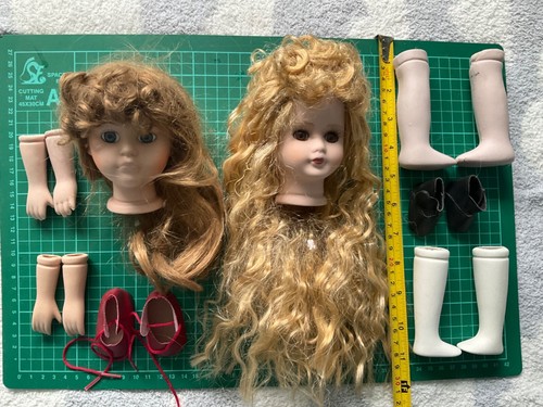 Collection bisque dolls - of,