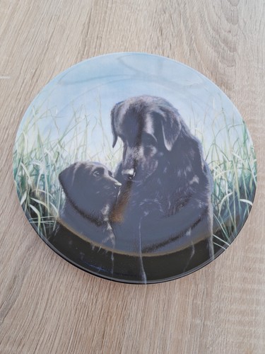 Wedgewood black labradors bone - wedgewood,