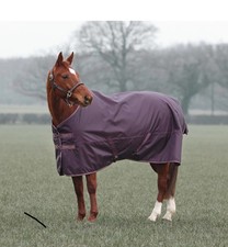 Shires Typhoon 100 Turnout Rug