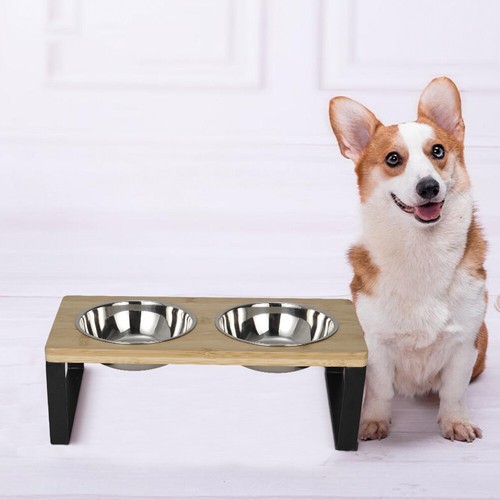 Pet dog cat - pet,