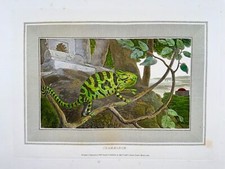 1807 William Daniell