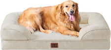 Orthopedic Dog Beds for Extra
