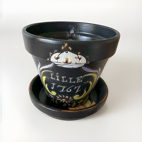 Terracotta plant pot with - plant,