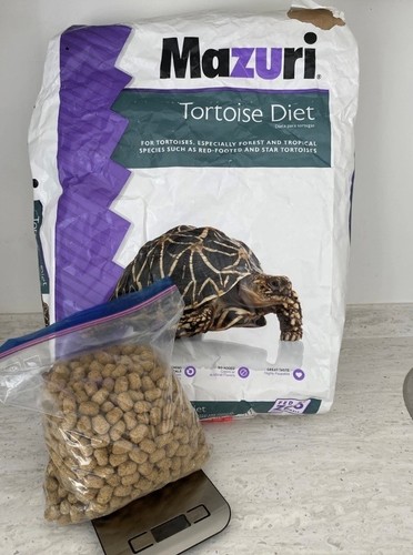 Mazouri tortoise diet - tortoise,
