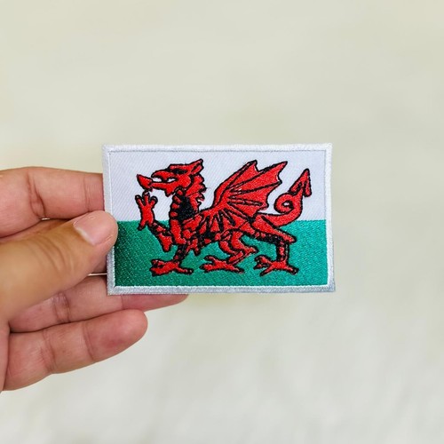 Wales red dragon - wales,