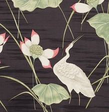 6 meters x SANDERSON