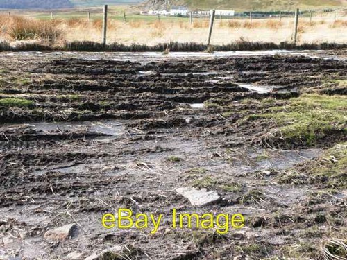 Photo 6x4 track - photo,