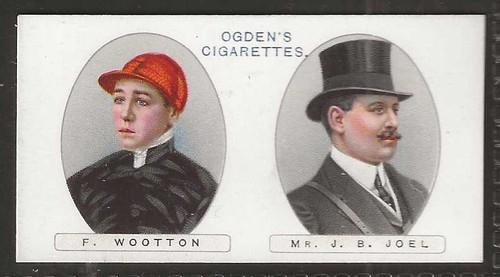 Ogdens owners horse racing - horse,