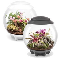 BiOrb Air 60L Terrarium
