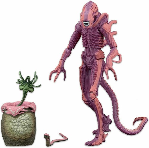Alien xenomorph warrior - xenomorph, arcade