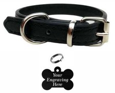 Vibrant Leather Dog Collar for