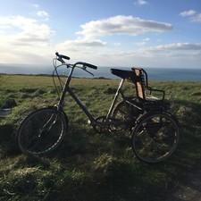Pashley Picador Tricycle 