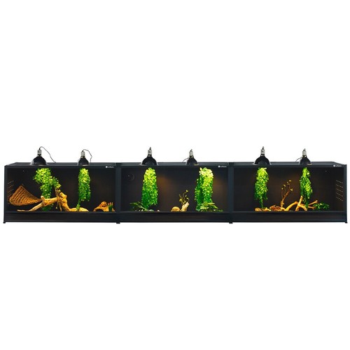 Swell reptile vivarium - reptile, kit