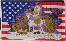 Indian & Horse in Snow US Flag