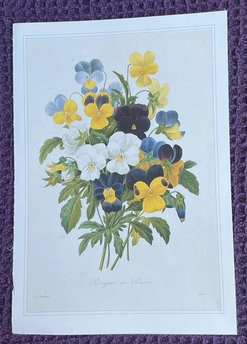 Print bouquet pansies by - print,