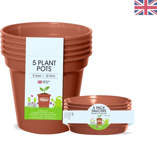 Pack terracotta planters - 5-pack,